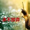 追回