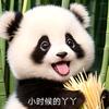 同心圆💞1314