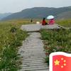 此情待续