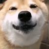 坏球