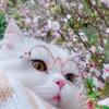 我想静静