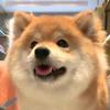 楠-