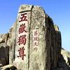 强哥