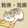 秦（洛克王国世界）