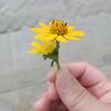 笑脸100
