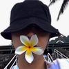 维他水