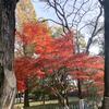 栩栩如生