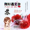蘓@钚&镶$鍦