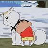 是7呀