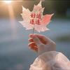 好运常在