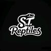 巳田爬宠STREPTILE