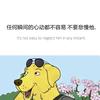 林尽处听雨眠