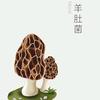 金玉滿堂