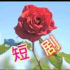 张总