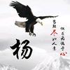 杨CQing