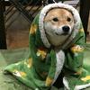 欧恩贝滴