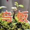 畲草堂