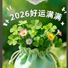 柳柳（努力中）