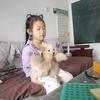鑫森淼焱