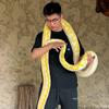 阳仔🐍【明阳爬宠】