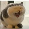 野钓哥   钓鳝