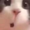 JYB