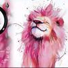 xyy