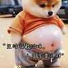 半吨兄弟（狱国争霸）