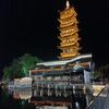 随你飘动