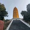 向优