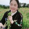 青山常在