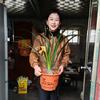 游玩推荐   «山东 曹姐 »