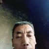灰太狼