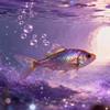 追梦的鱼