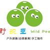 大竹野豌豆户外亲子营（梨花）