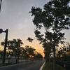 余生随心