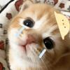青苹果乐