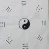 阴阳谋士，悟(易)