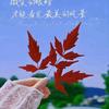小小景