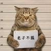 灯火