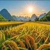 星剧场
