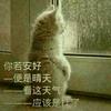 咬他