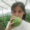 寿光种子种苗直供～@冯霞