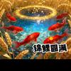 梦想启航