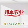 邦本农业  小王
