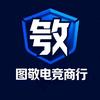 图敬电竞商行（三角洲碰碰车）