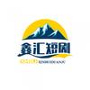 鑫汇短剧
