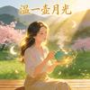温一壶月光
