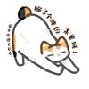 喵了个咪的未来城！
