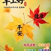 逃跑的月亮